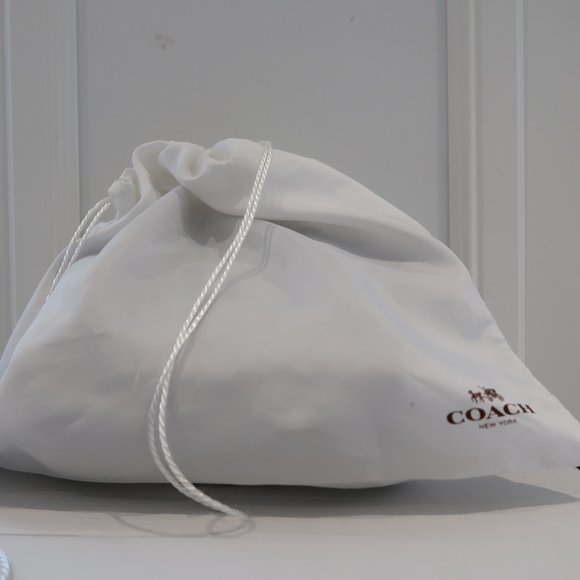 COACH Swagger  Chain Leather Crossbody Bag - Picture 12 of 12